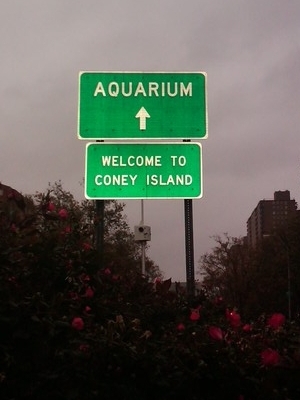 Welcome to Coney Island